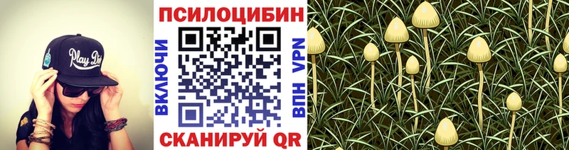 Купить  Михайловка  Псилоцибиновые грибы ЛСД 